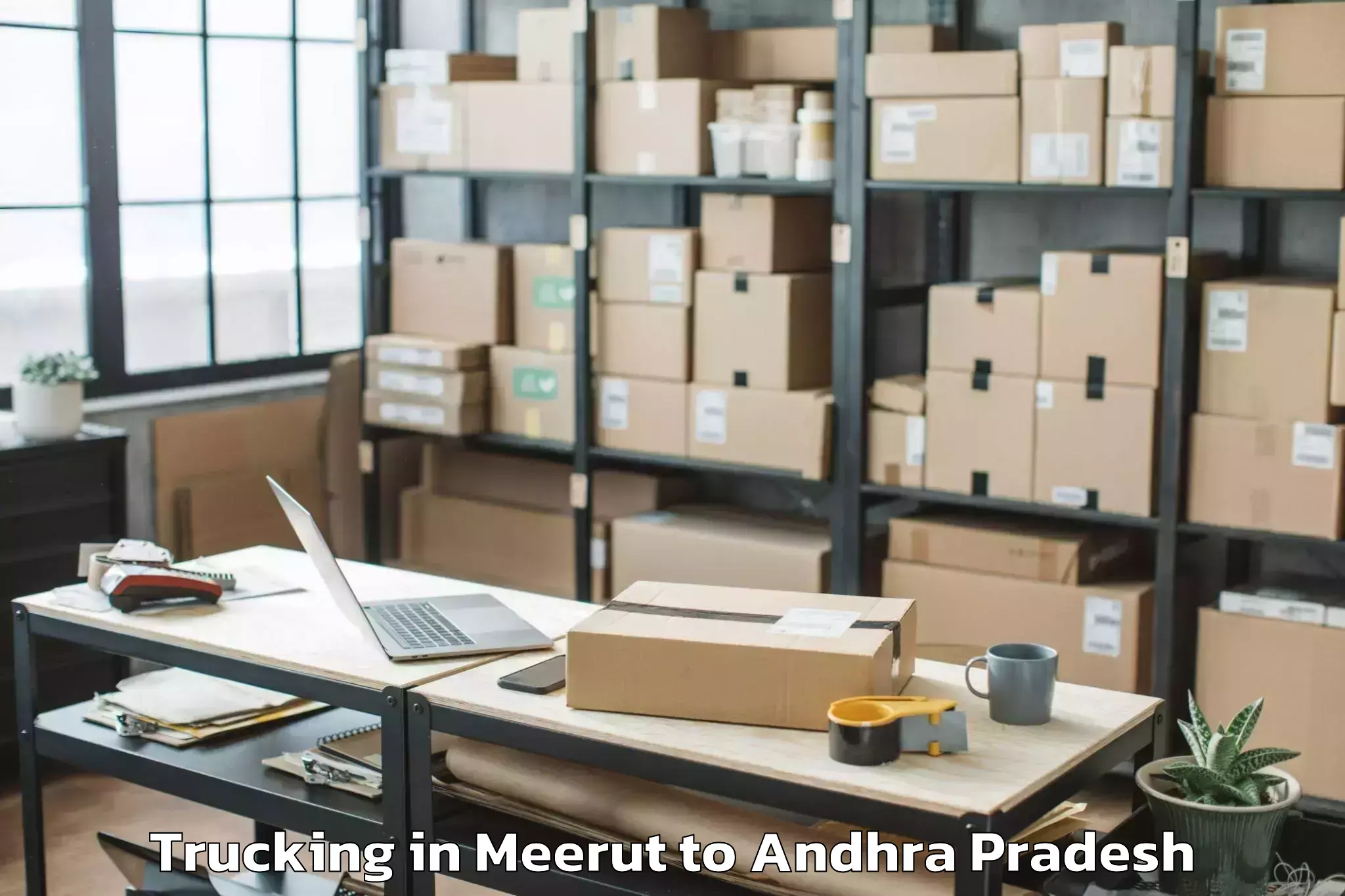 Leading Meerut to Tadipatri Trucking Provider